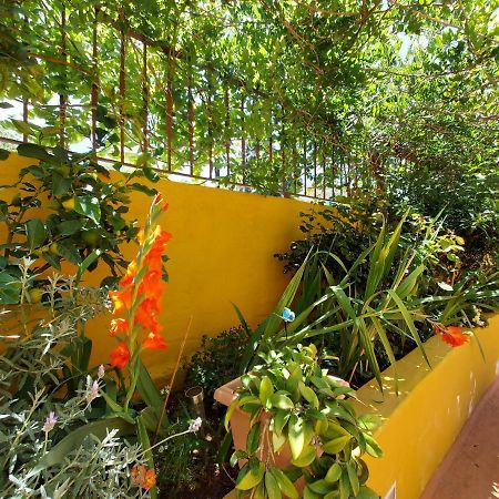 Casa Maestro Lelo - Acogedora Casa Rural Canaria Con Patios Y Jardines De Flores Las Palmas de Gran Canaria Kültér fotó