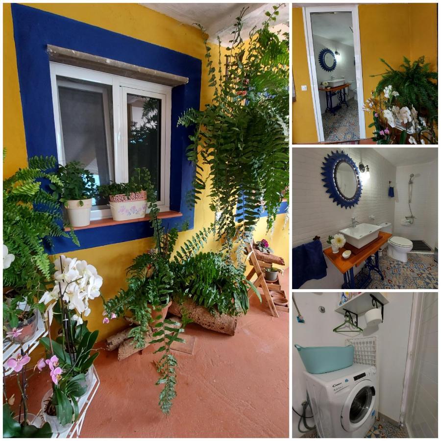 Casa Maestro Lelo - Acogedora Casa Rural Canaria Con Patios Y Jardines De Flores Las Palmas de Gran Canaria Kültér fotó